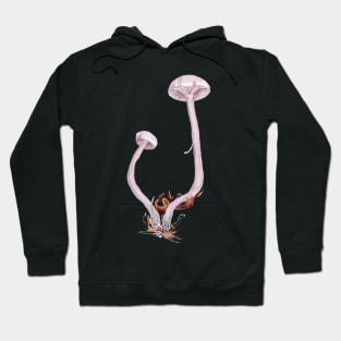 Laccaria amethystina Hoodie